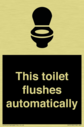 this-toilet-flushes-automatically~